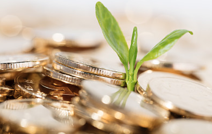 云晰推荐的哪地方小吃多