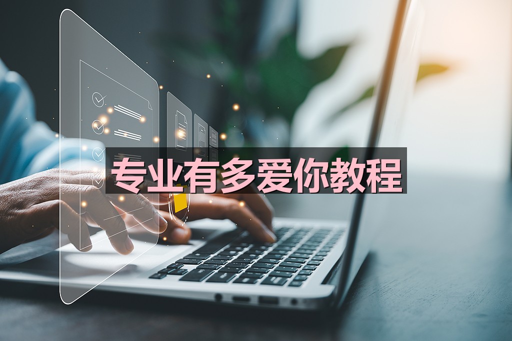专业有多爱你教程