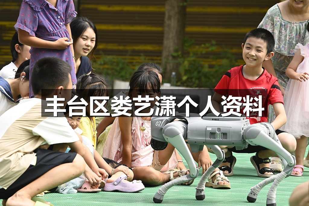 丰台区娄艺潇个人资料